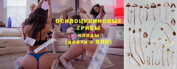 хмурый Армянск